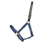 REFLECTIVE Safety HALTER & LEAD with BREAKAWAY LEATHER CROWN made from Beta Biothane