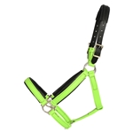 BETA BIOTHANE Safety Halter with Breakaway Leather Crown