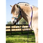 REFLECTIVE Safety HALTER & LEAD with BREAKAWAY LEATHER CROWN made from Beta Biothane