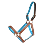 REFLECTIVE Safety HALTER & LEAD with BREAKAWAY LEATHER CROWN made from Beta Biothane