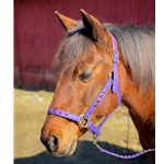 Any Color SAFETY HALTER & LEAD with BREAKAWAY LEATHER TAB made from BETA BIOTHANE (Solid Colored)