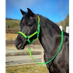 Any Color SAFETY HALTER & LEAD with BREAKAWAY LEATHER TAB made from BETA BIOTHANE (Solid Colored)