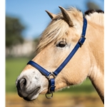 GROOMING HALTER & LEAD made from BETA BIOTHANE (Solid Colored)