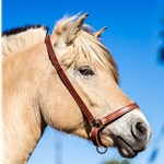 GROOMING HALTER & LEAD made from BETA BIOTHANE (with BLING)