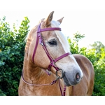 black LEATHER Halter Bridle with Bit Hangers