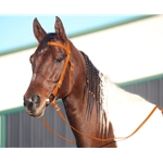 ORANGE WESTERN BRIDLE (Full Browband) made from BETA BIOTHANE