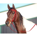RED WESTERN BRIDLE (Full Browband) made from BETA BIOTHANE