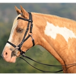 Quick Change HALTER BRIDLE with Snap on Browband made from LEATHER