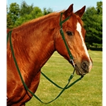 HUNTER GREEN WESTERN BRIDLE (One Ear or Two Ear Split Ear Browband) made from BETA BIOTHANE