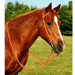 ORANGE WESTERN BRIDLE (One Ear or Two Ear Split Ear Browband) made from BETA BIOTHANE