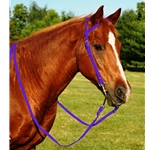 PURPLE WESTERN BRIDLE (One Ear or Two Ear Split Ear Browband) made from BETA BIOTHANE