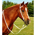 WHITE WESTERN BRIDLE (One Ear or Two Ear Split Ear Browband) made from BETA BIOTHANE