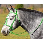 LIME GREEN MEDIEVAL BAROQUE WAR or PARADE BRIDLE with reins Beta Biothane