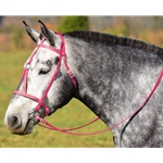 PINK MEDIEVAL BAROQUE WAR or PARADE BRIDLE with reins Beta Biothane