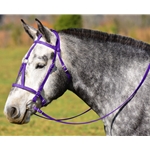 PURPLE MEDIEVAL BAROQUE WAR or PARADE BRIDLE with reins Beta Biothane