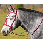 WINE MEDIEVAL BAROQUE WAR or PARADE BRIDLE with reins Beta Biothane