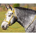 YELLOW MEDIEVAL BAROQUE WAR or PARADE BRIDLE with reins Beta Biothane