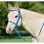 LIGHT BLUE PICNIC BRIDLE or SIMPLE HALTER BRIDLE made from Beta Biothane