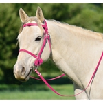 PINK PICNIC BRIDLE or SIMPLE HALTER BRIDLE made from Beta Biothane