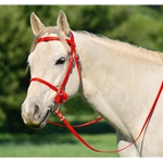 RED PICNIC BRIDLE or SIMPLE HALTER BRIDLE made from Beta Biothane