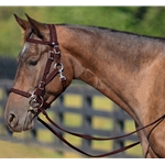 BROWN Quick Change HALTER BRIDLE with Snap on Browband made from BETA BIOTHANE