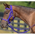 DARK BLUE Quick Change HALTER BRIDLE with Snap on Browband made from BETA BIOTHANE