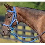 LIGHT BLUE Quick Change HALTER BRIDLE with Snap on Browband made from BETA BIOTHANE