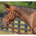ORANGE Quick Change HALTER BRIDLE with Snap on Browband made from BETA BIOTHANE
