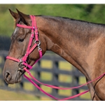 PINK Quick Change HALTER BRIDLE with Snap on Browband made from BETA BIOTHANE