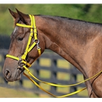 YELLOW Quick Change HALTER BRIDLE with Snap on Browband made from BETA BIOTHANE
