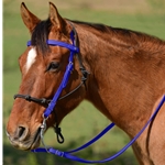 DARK BLUE Snap on Browband WESTERN BRIDLE made from BETA BIOTHANE