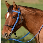 LIGHT BLUE Snap on Browband WESTERN BRIDLE made from BETA BIOTHANE