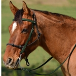 HUNTER GREEN Snap on Browband WESTERN BRIDLE made from BETA BIOTHANE