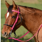 PINK Snap on Browband WESTERN BRIDLE made from BETA BIOTHANE