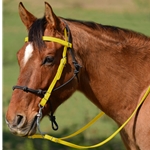 YELLOW Snap on Browband WESTERN BRIDLE made from BETA BIOTHANE