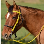 YELLOW Snap on Browband WESTERN BRIDLE made from BETA BIOTHANE
