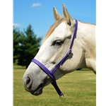 purple BETA BIOTHANE Tie Down and Western Noseband