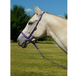 purple BETA BIOTHANE Tie Down and Western Noseband