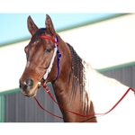 **WHOLESALE TACK** TRICOLOR Beta Biothane Western Bridle with Full Browband