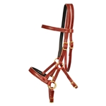 Bitless Bridles