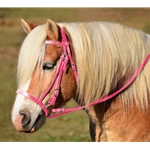 PINK ENGLISH HUNT BRIDLE Made from Beta Biothane