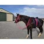 black BETA BIOTHANE Stirrup Leathers