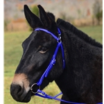 DARK BLUE MULE BRIDLE made from BETA BIOTHANE