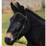 HUNTER GREEN MULE BRIDLE made from BETA BIOTHANE