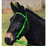 LIME GREEN MULE BRIDLE made from BETA BIOTHANE