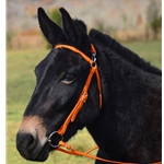 ORANGE MULE BRIDLE made from BETA BIOTHANE