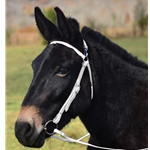 WHITE MULE BRIDLE made from BETA BIOTHANE