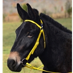 YELLOW MULE BRIDLE made from BETA BIOTHANE