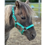 Any Color FIGURE 8 Style FOAL HALTER made from BETA BIOTHANE (Solid Colored)