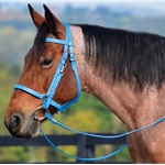 WHITE Traditional HALTER BRIDLE with BIT HANGERS made from BETA BIOTHANE